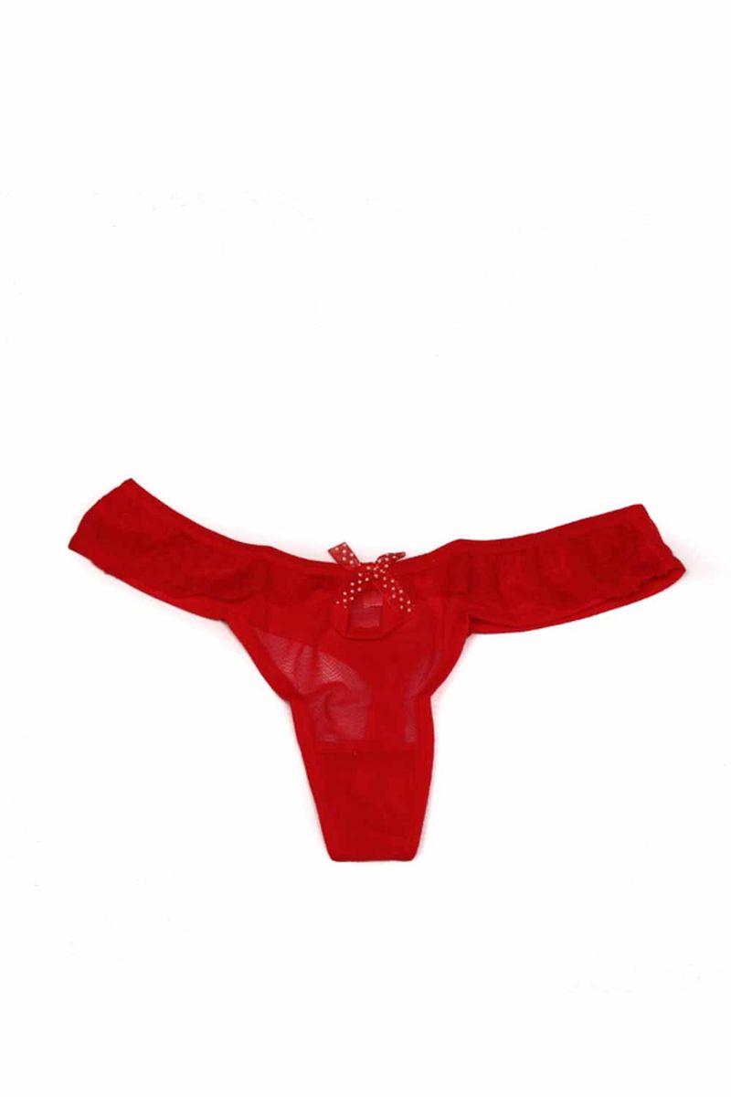 PANTY-SEDA-EN-TULL-Y-ENCAJE